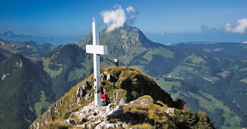 Refuge picture